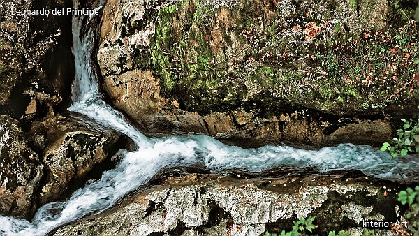 The Sinking River Contemplating the Ain River as it converges into a sinking river in Jura Mountains, I witnessed a serene interaction...