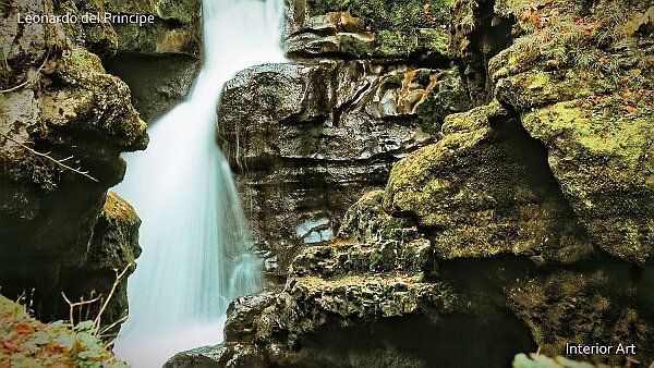 The Sinking River Contemplating the Ain River as it converges into a sinking river in Jura Mountains, I witnessed a serene interaction...