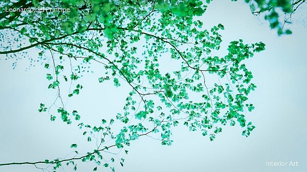 Spring Bursts of Life In Japanese art, the changing seasons are deeply significant, with each phase (early, middle, and late) carrying unique...