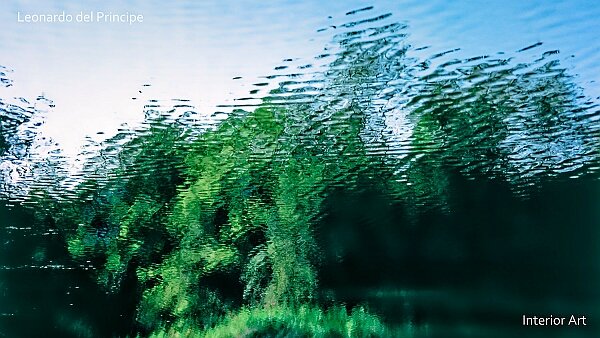 others Click on the thumbnails to explore each series and discover their artistic concepts