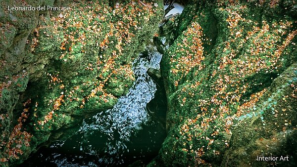 The Sinking River Contemplating the Ain River as it converges into a sinking river in Jura Mountains, I witnessed a serene interaction...