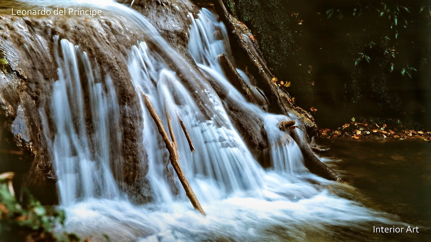 KOSA02 A serene creek cascades gently over smooth rocks surrounded by lush greenery. The flowing water creates a soothing and tranquil atmosphere.
