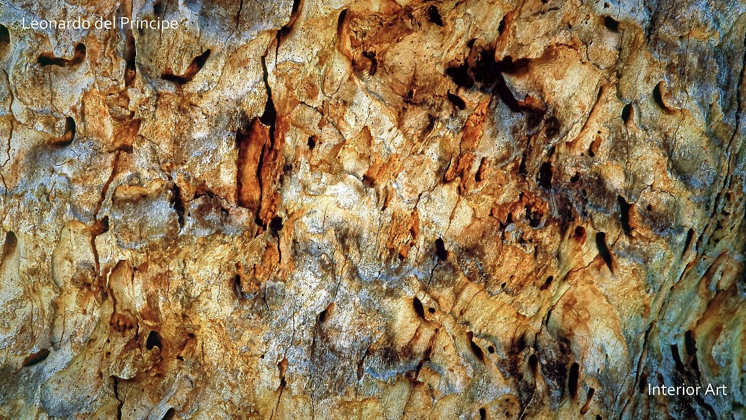 AFST04 Close-up of a textured tree bark with deep grooves and earthy tones of orange and brown. The surface appears weathered, evoking a rugged nature feel.