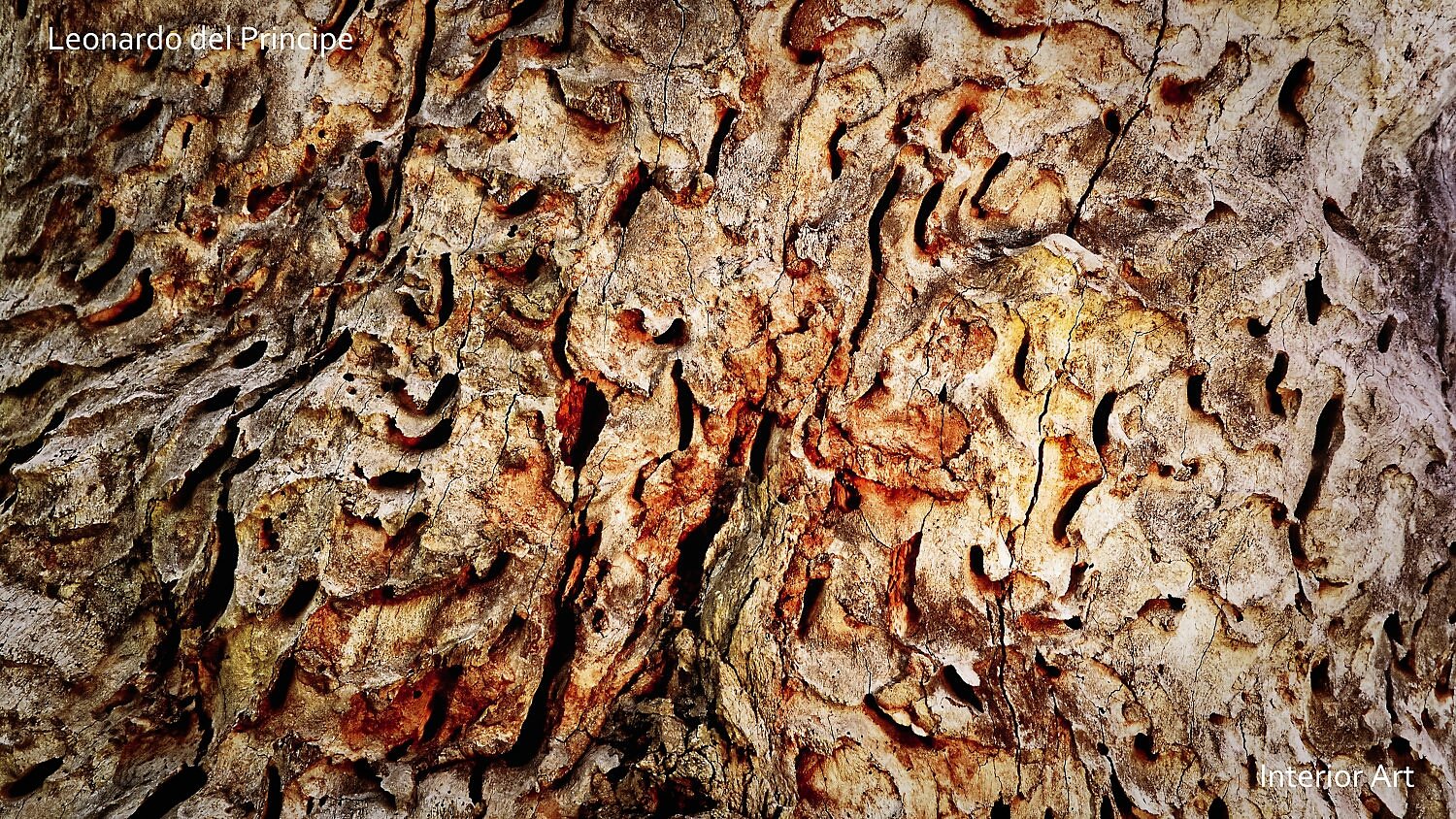 AFST05 Textured close-up of a tree bark, featuring intricate grooves and patterns in earthy tones of brown, beige, and rust. The surface appears weathered and rugged.