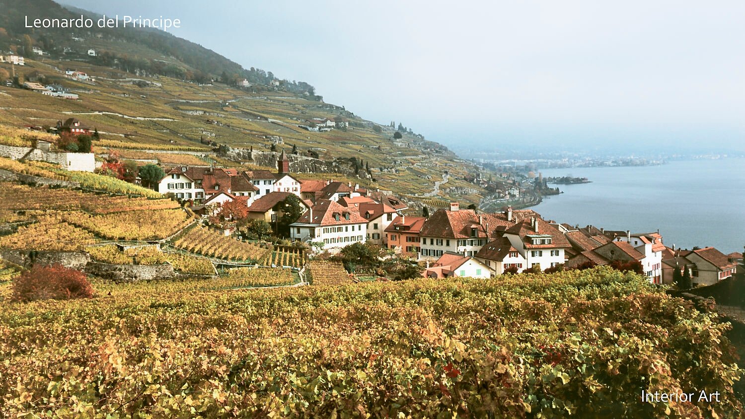 CHLV03 A picturesque hillside village of Lavaux with red-roofed houses overlooks a vineyard stretching down to a serene lake. Rolling hills create a peaceful, scenic...