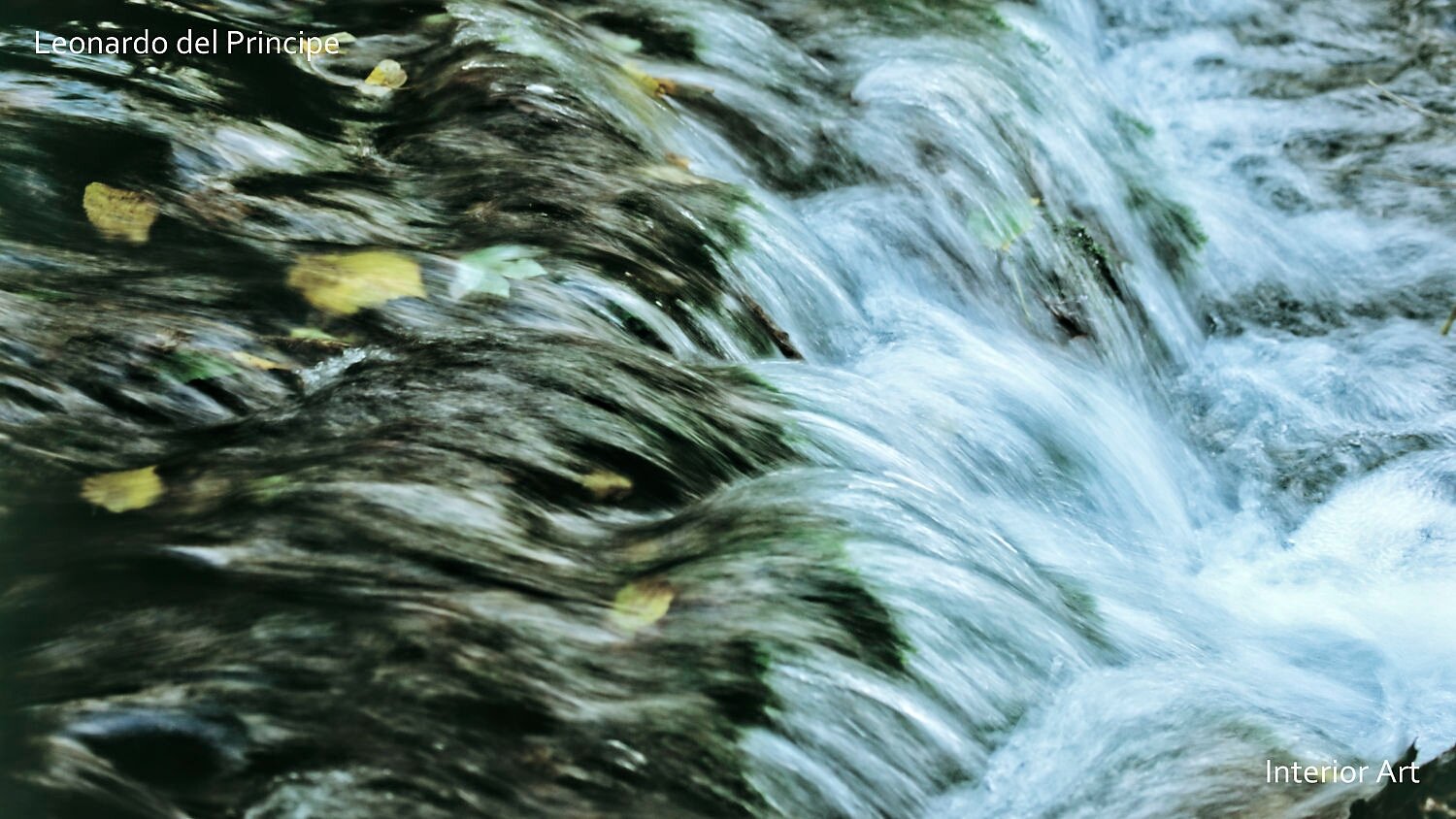 KOSA03 A serene creek flows over smooth rocks, with fallen yellow leaves floating. The water's movement conveys tranquility and natural beauty.