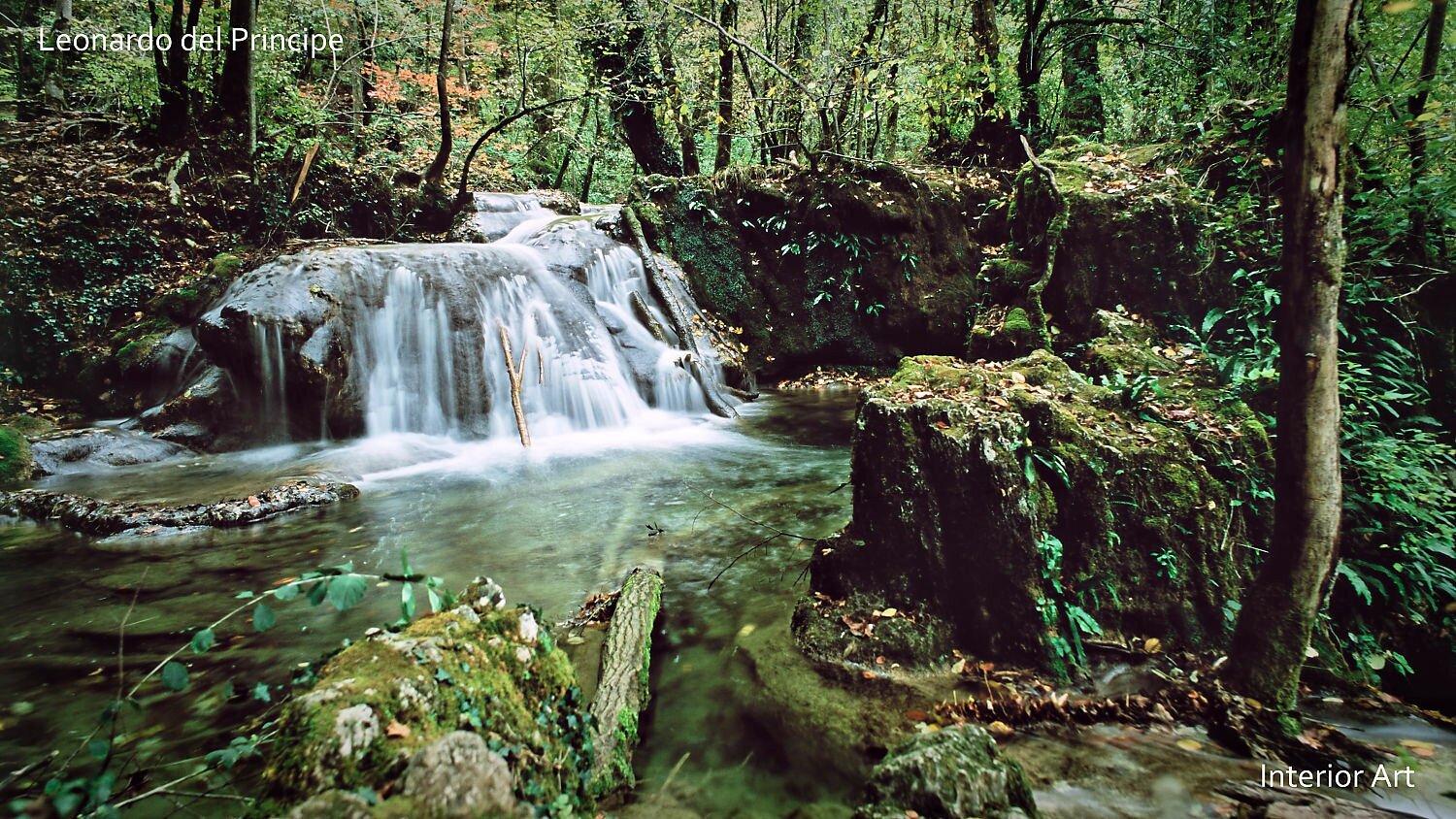 KOSA05 A small waterfall flows over rocks into a clear, serene stream surrounded by lush green forest. The scene conveys peace and natural beauty.