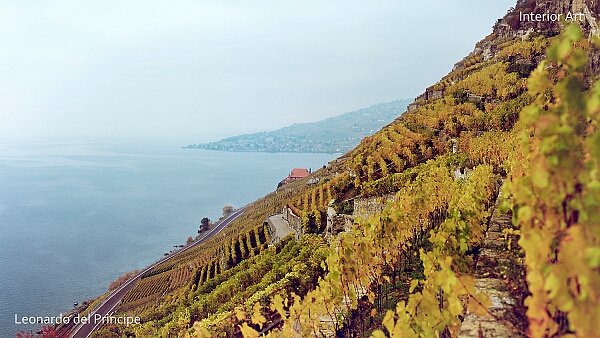 The Changing Lights of Lavaux Vineyards Lavaux in Switzerland, a UNESCO World Heritage site, is renowned for its terraced vineyards that have graced the south...