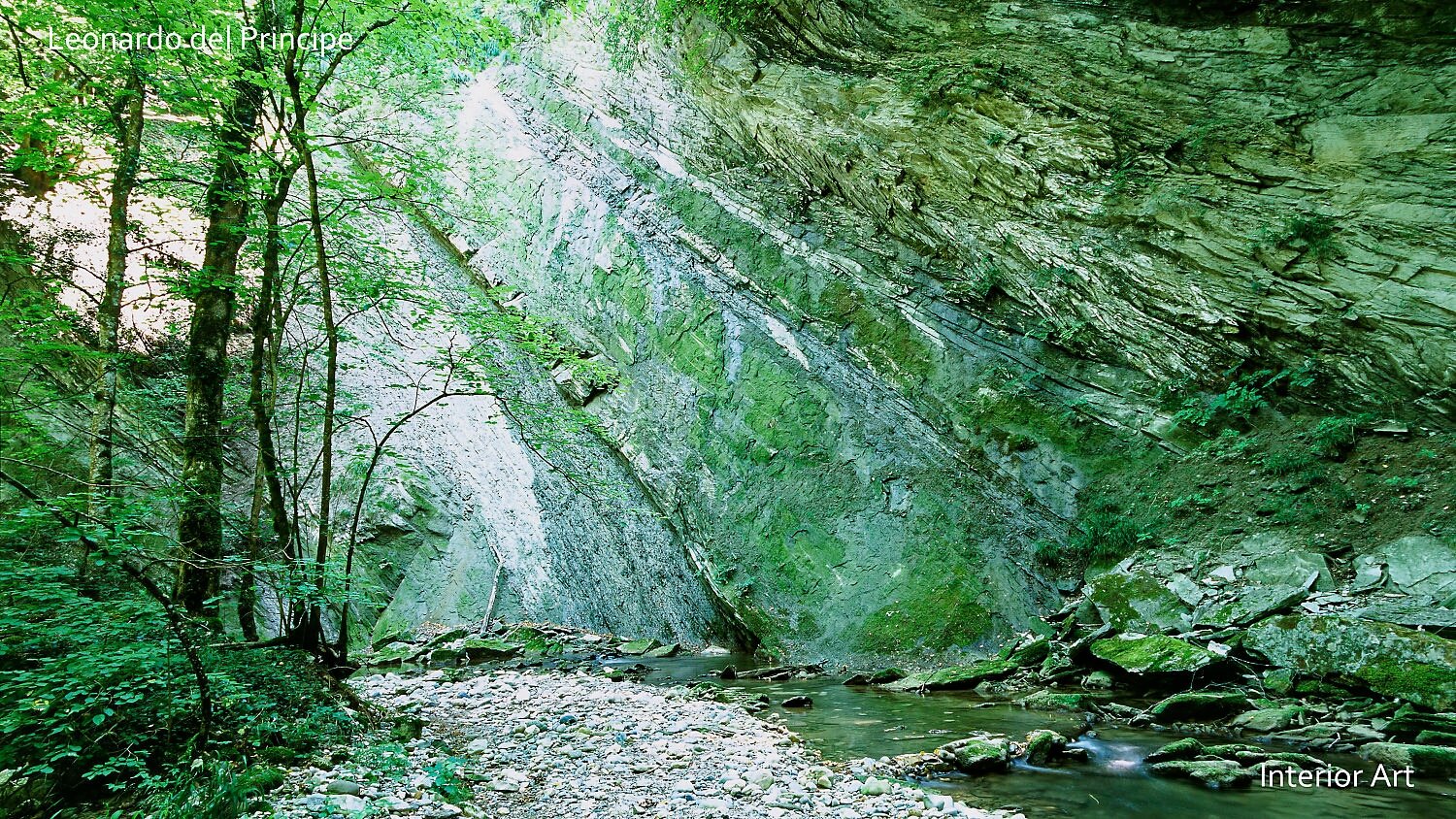RIMOa03 A tranquil forest scene with lush green trees on the left and a rocky cliff on the right. A clear stream flows over pebbles, creating a serene and peaceful...